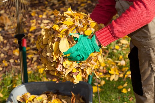 Marylebone waste collection services